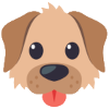 Koira